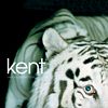 Kent Vapen & Ammunition